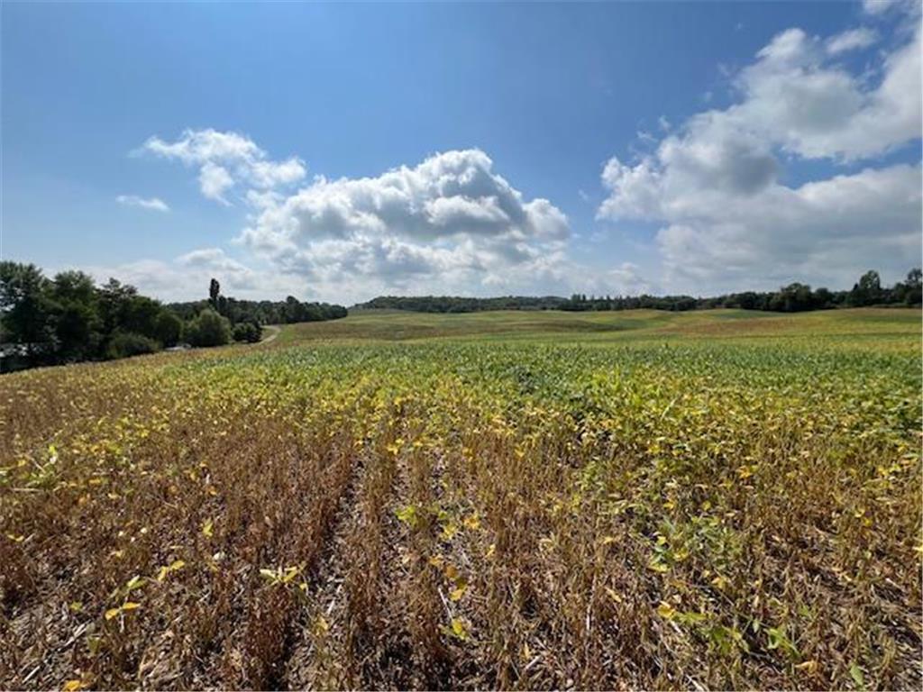 TBD Placid Dr Edna Twp MN 56573 6783530 image3