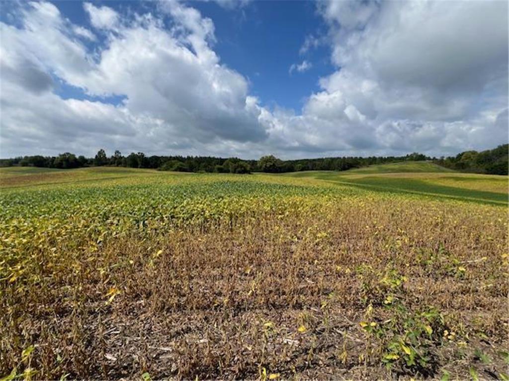 TBD Placid Dr Edna Twp MN 56573 6783530 image1