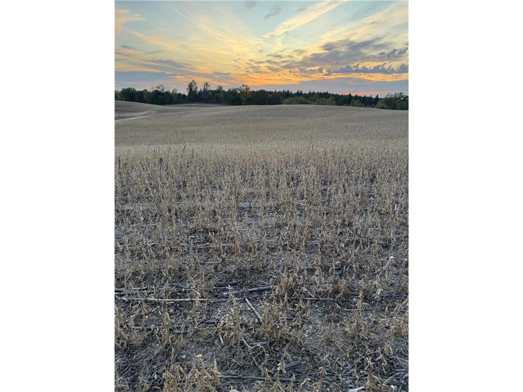 TBD Placid Drive Dent MN 56528 7105383 image2