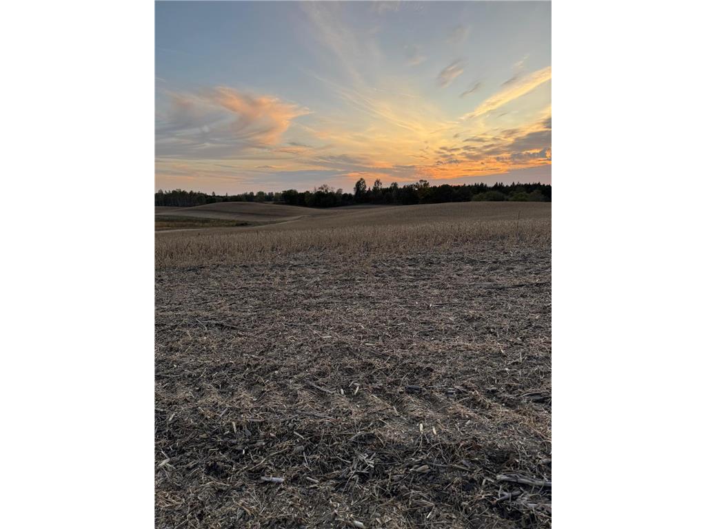 TBD Placid Drive Dent MN 56528 7105383 image4