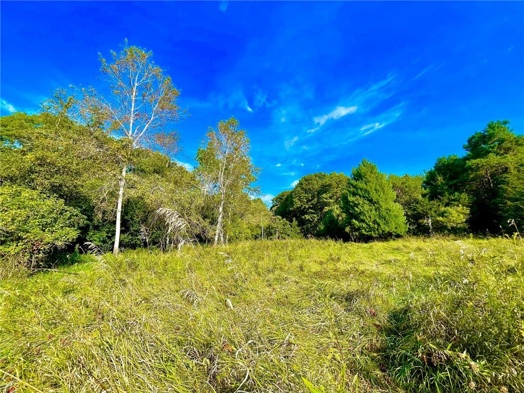 TBD Plainview Drive Troy Twp WI 54022 7039219 image12