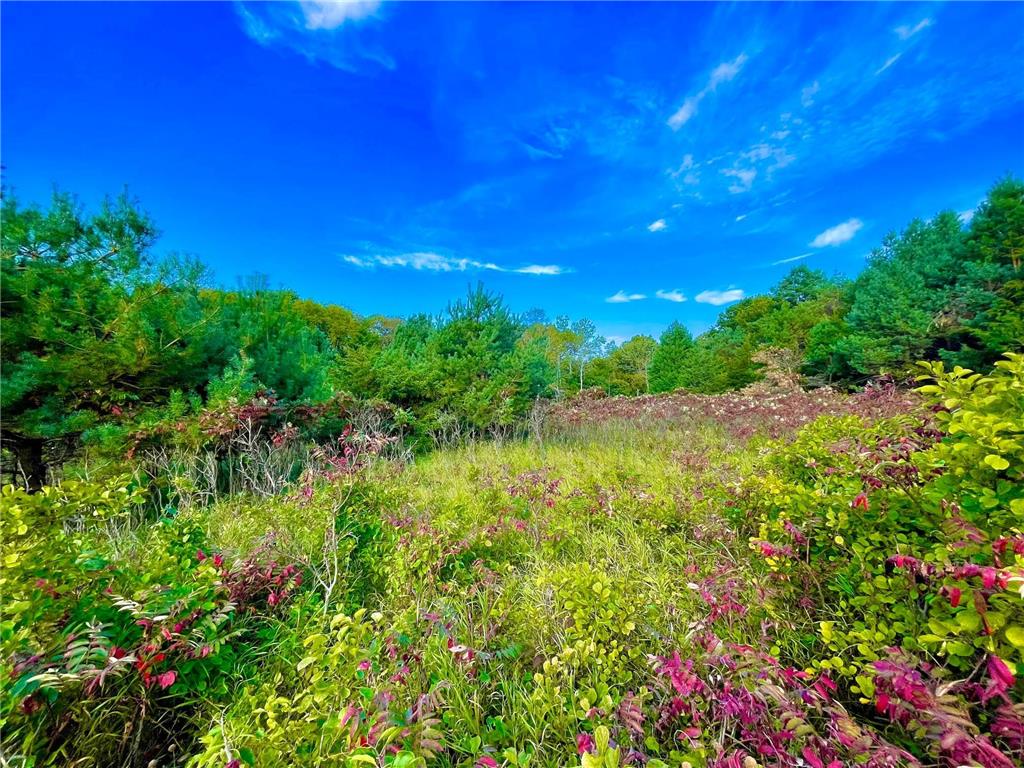 TBD Plainview Drive Troy Twp WI 54022 7039219 image6