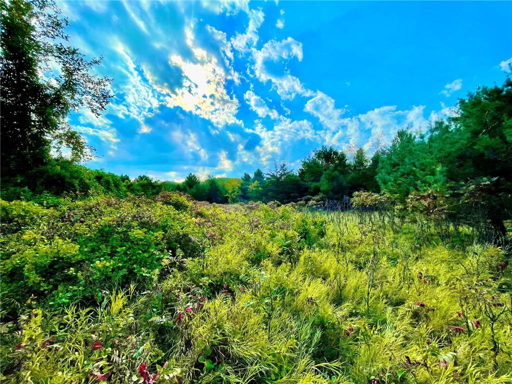 TBD Plainview Drive Troy Twp WI 54022 7039219 image8