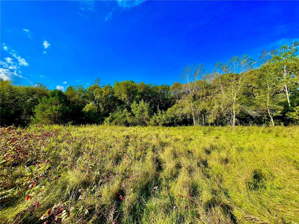 TBD Plainview Drive Troy Twp WI 54022 7039219 image9