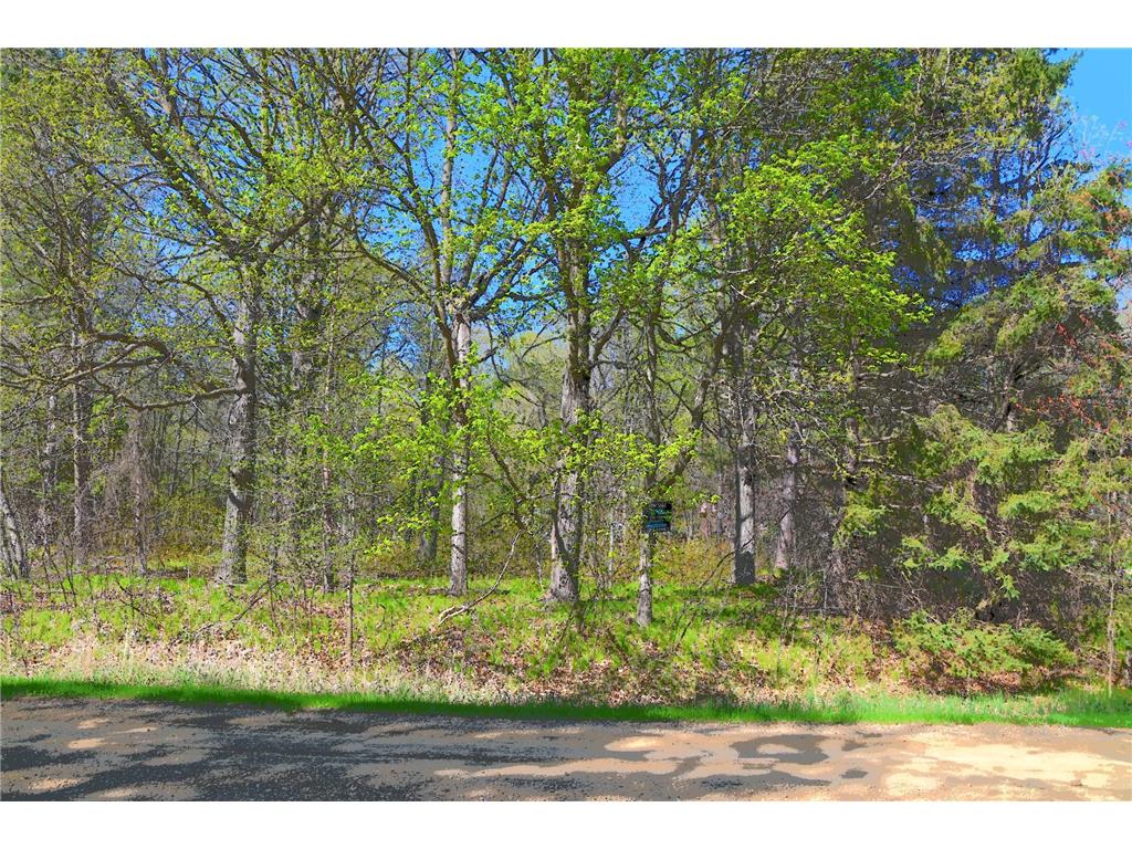TBD Plum Drive Fawn Lake Twp MN 56438 7034462 image2