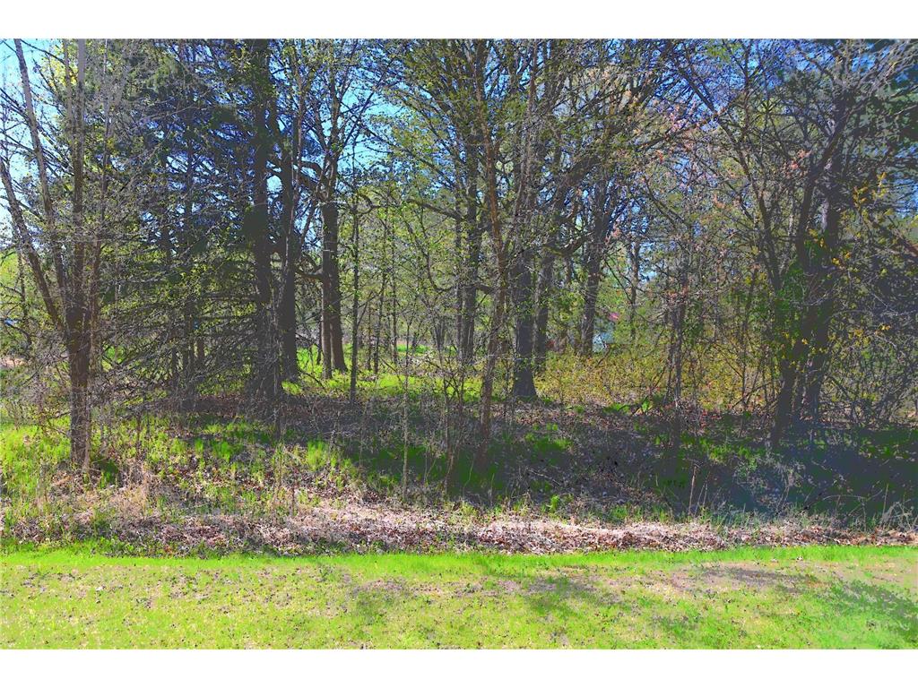 TBD Plum Drive Fawn Lake Twp MN 56438 7034462 image3