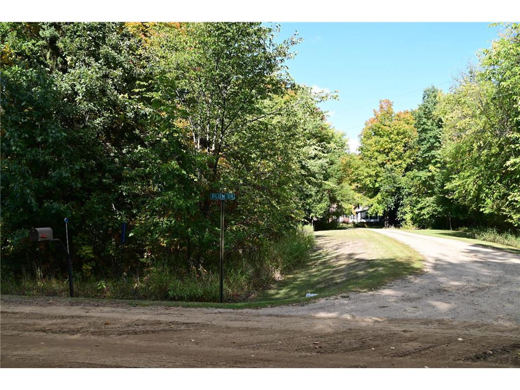 TBD Plum Drive Fawn Lake Twp MN 56438 7034462 image4