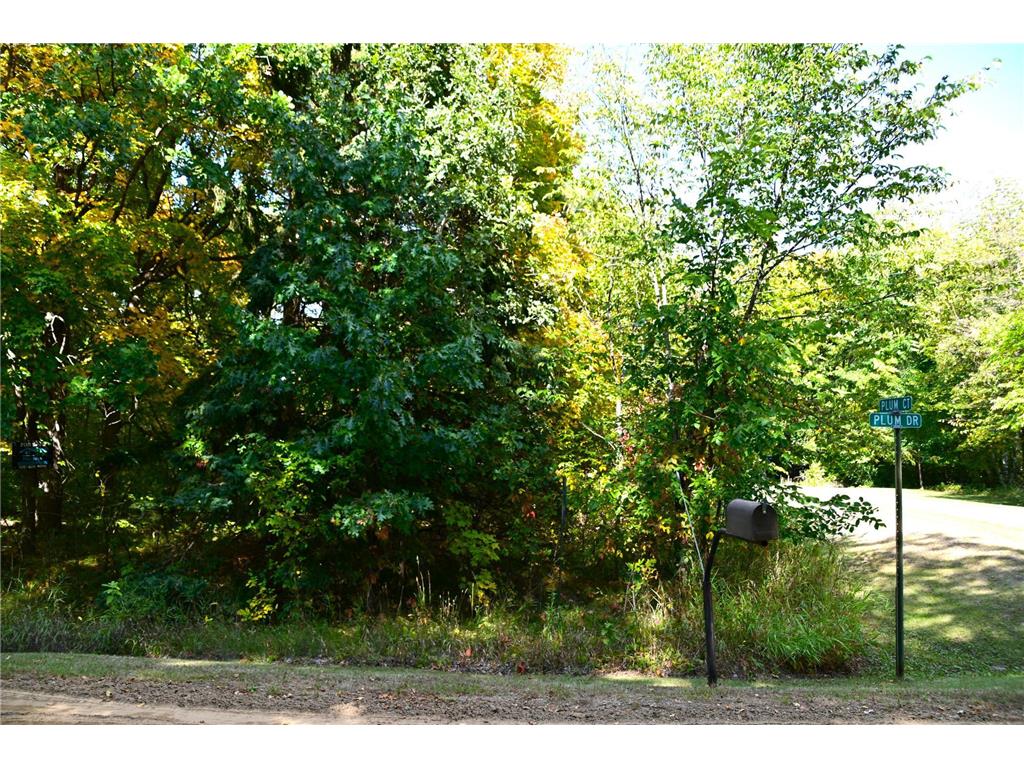 TBD Plum Drive Fawn Lake Twp MN 56438 7034462 image6