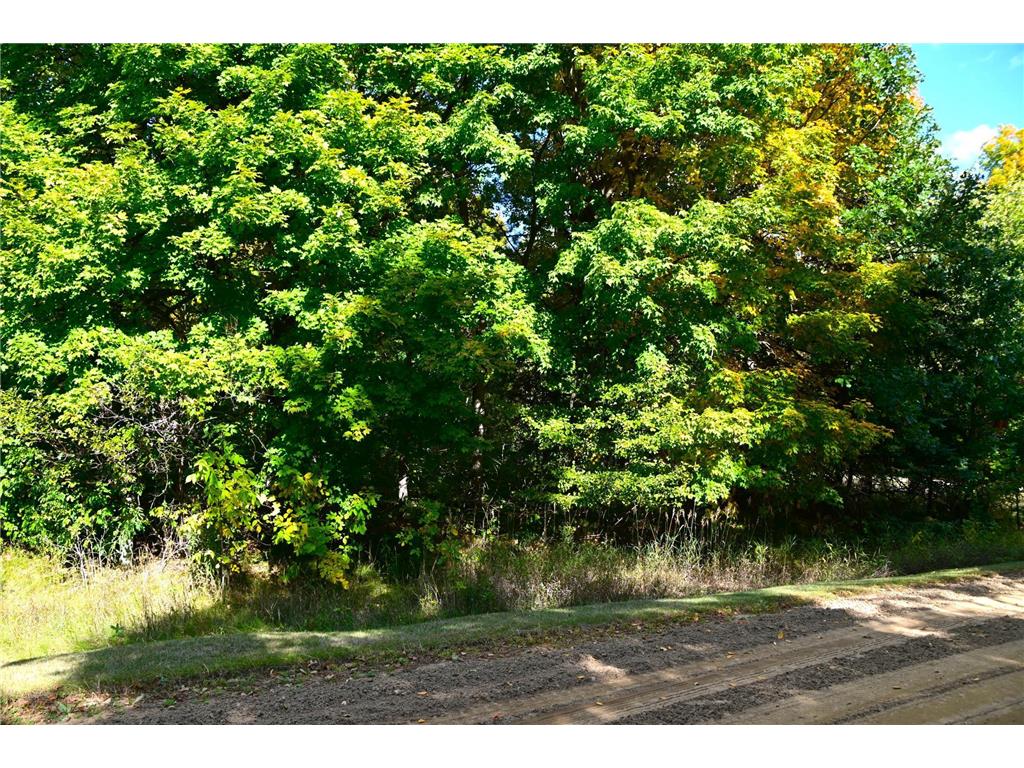 TBD Plum Drive Fawn Lake Twp MN 56438 7034462 image8