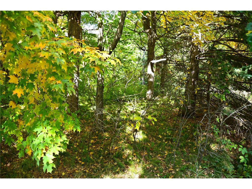 TBD Plum Drive Fawn Lake Twp MN 56438 7034462 image9