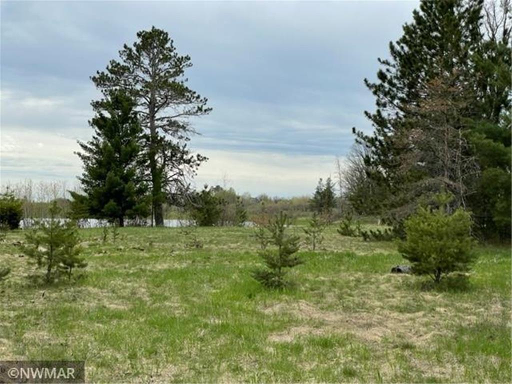 TBD Pony Lake Road NW Bemidji MN 56601 6263143 image1