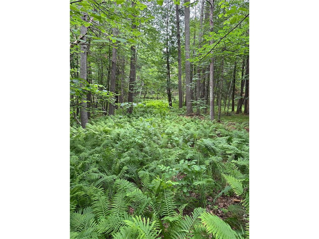 TBD Pool Lake Road NE Port Hope Twp MN 56601 6745233 image1