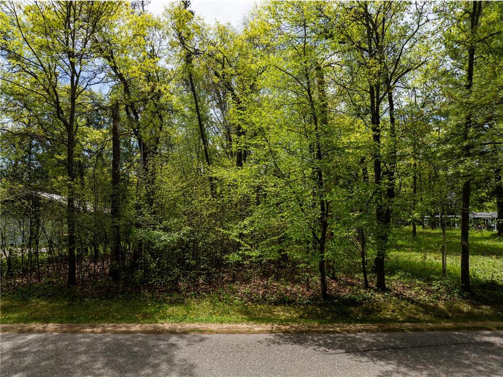 TBD Poplar Avenue Nisswa MN 56468 7086314 image6