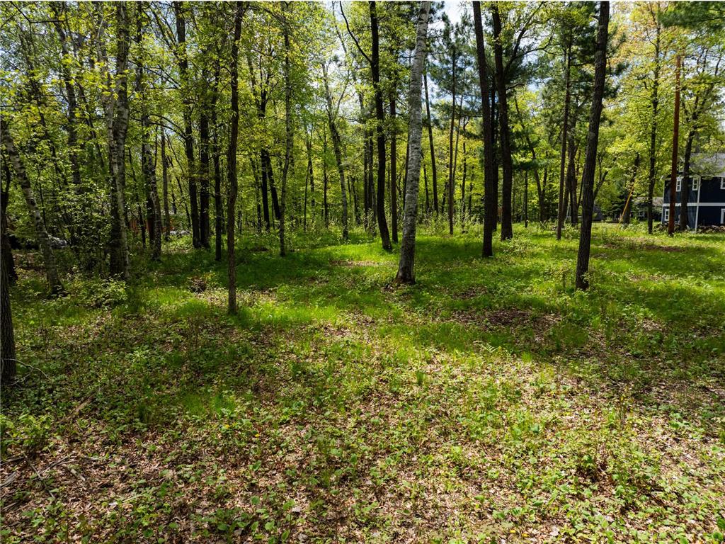 TBD Poplar Avenue Nisswa MN 56468 7086314 image9