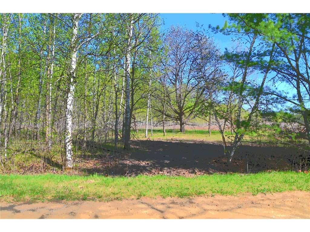 TBD Poplar Lane Fawn Lake Twp MN 56438 - Pine Island 7034492 image1