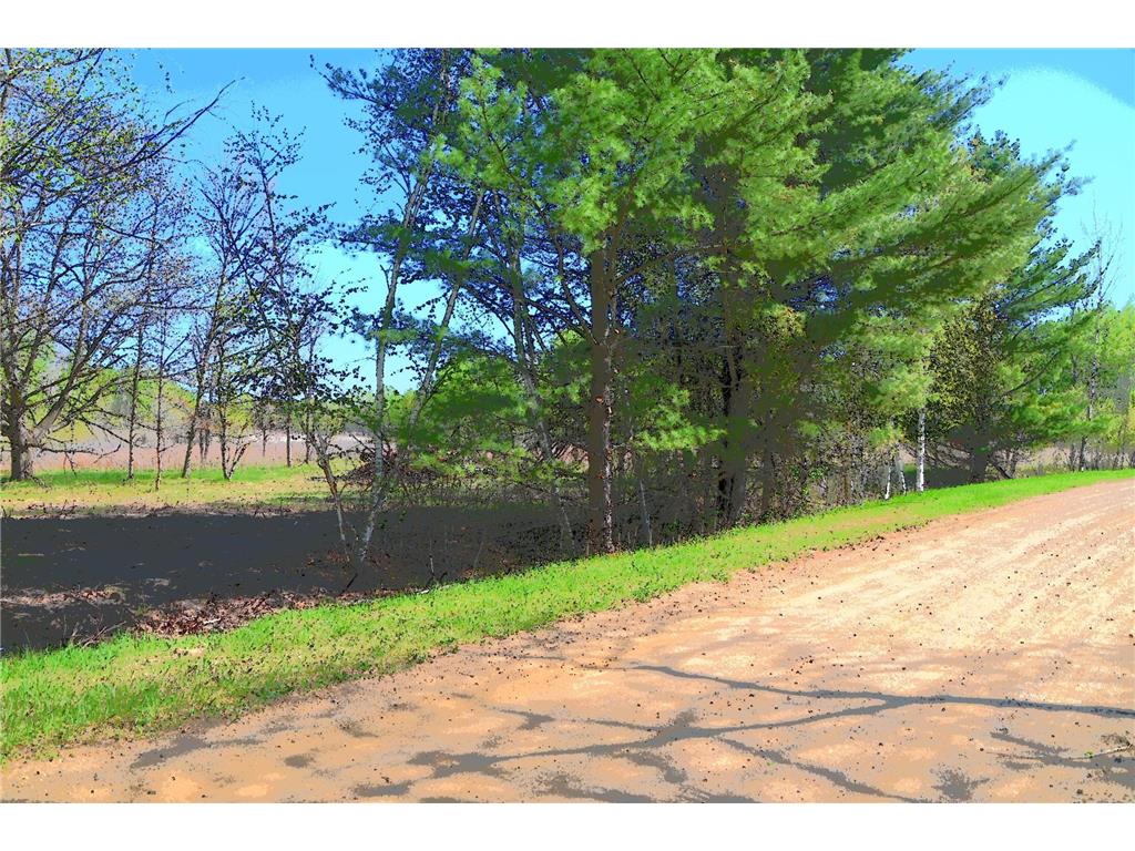 TBD Poplar Lane Fawn Lake Twp MN 56438 - Pine Island 7034492 image2