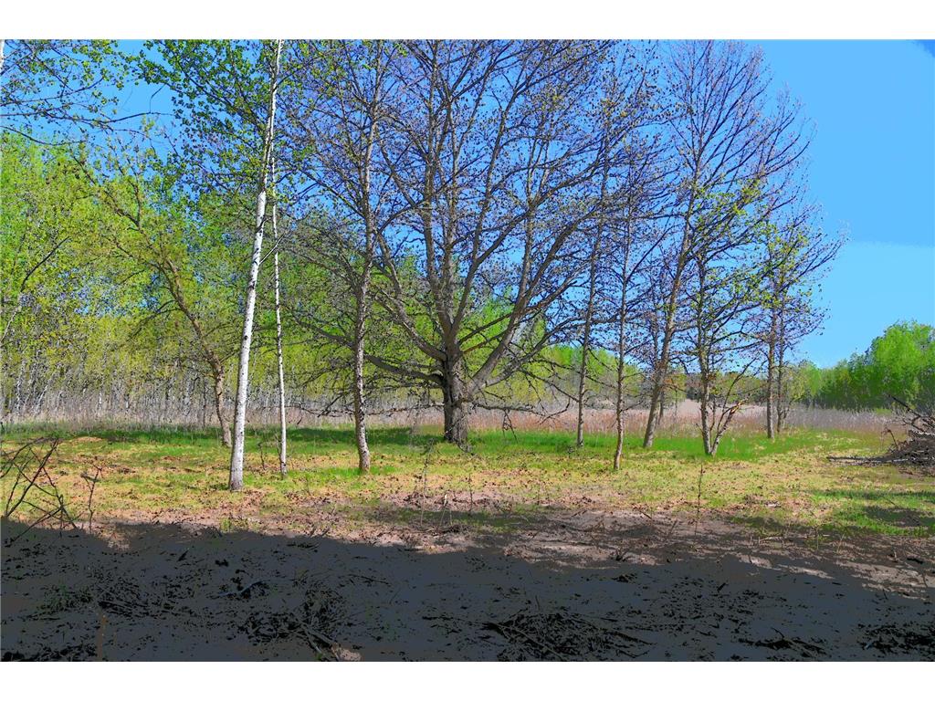 TBD Poplar Lane Fawn Lake Twp MN 56438 - Pine Island 7034492 image3
