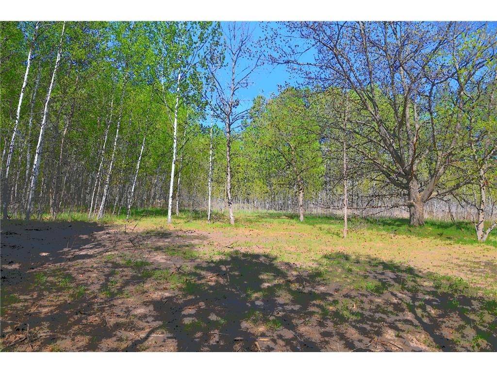 TBD Poplar Lane Fawn Lake Twp MN 56438 - Pine Island 7034492 image4