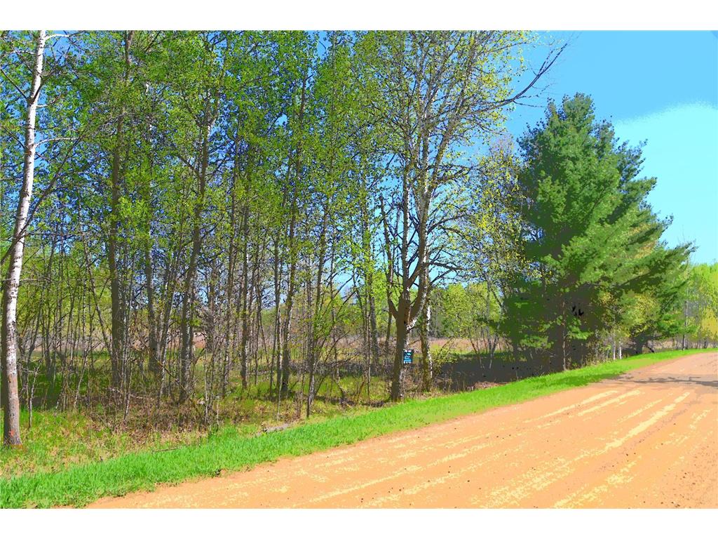 TBD Poplar Lane Fawn Lake Twp MN 56438 - Pine Island 7034492 image6