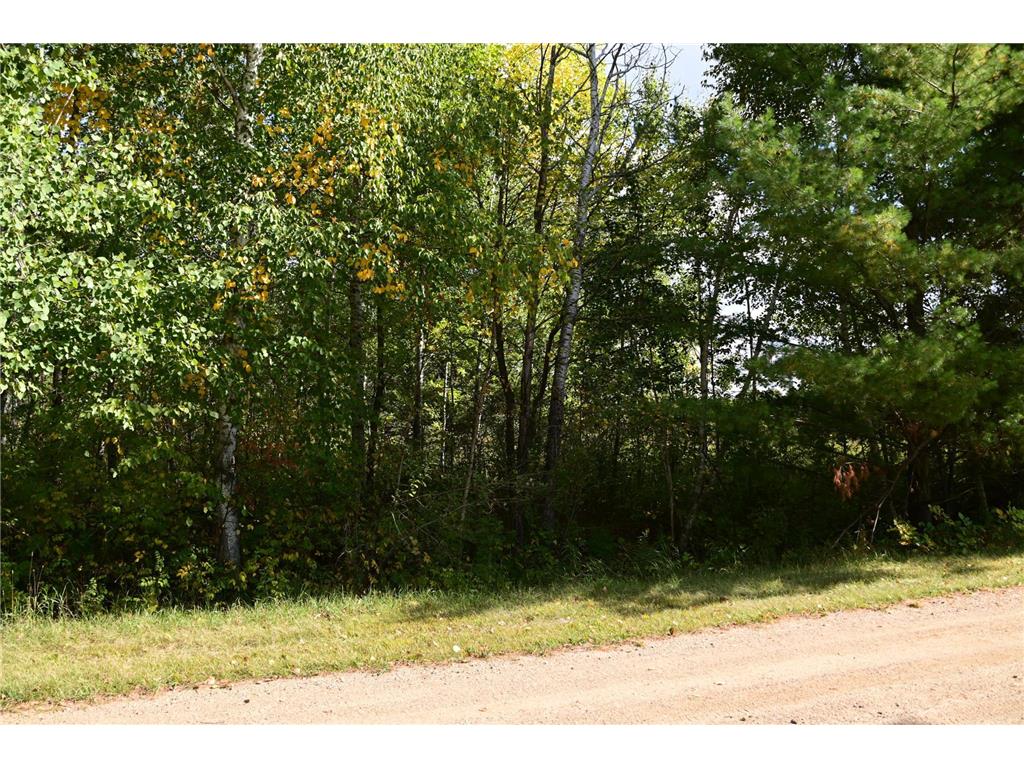 TBD Poplar Lane Fawn Lake Twp MN 56438 - Pine Island 7034492 image7