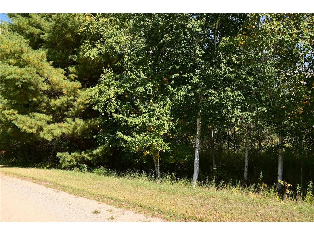 TBD Poplar Lane Fawn Lake Twp MN 56438 - Pine Island 7034492 image8