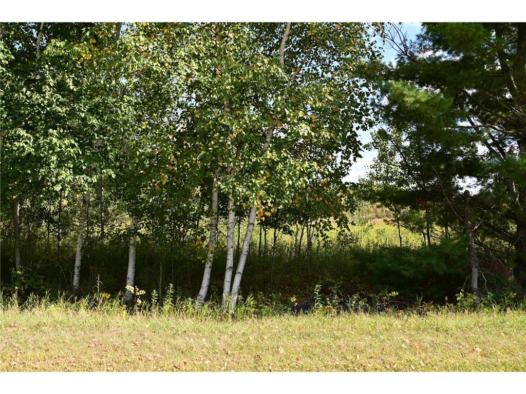 TBD Poplar Lane Fawn Lake Twp MN 56438 - Pine Island 7034492 image9