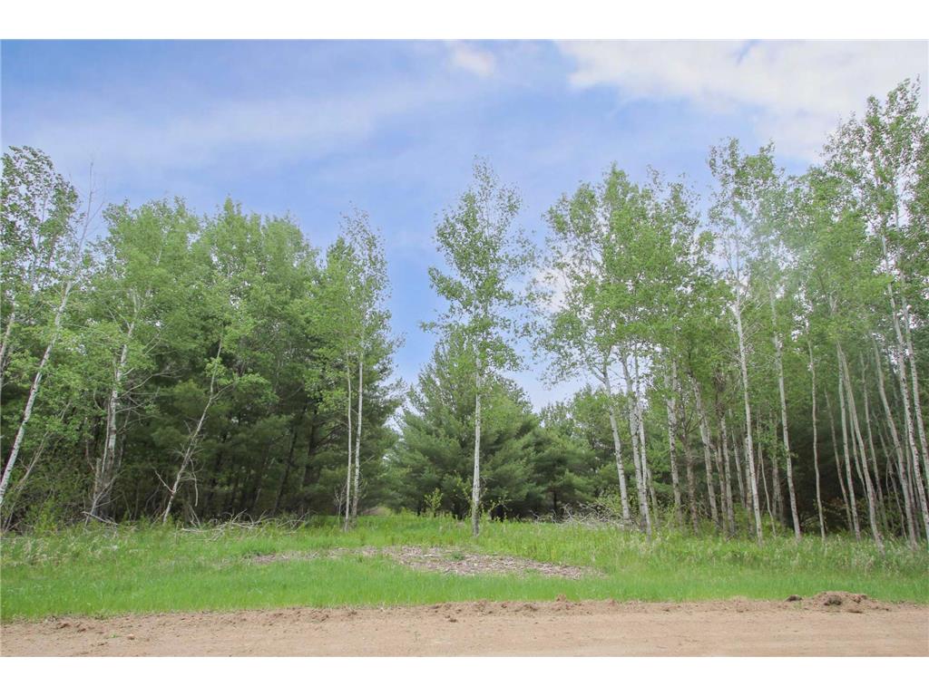 TBD Portage Circle Browerville MN 56438 6636954 image1