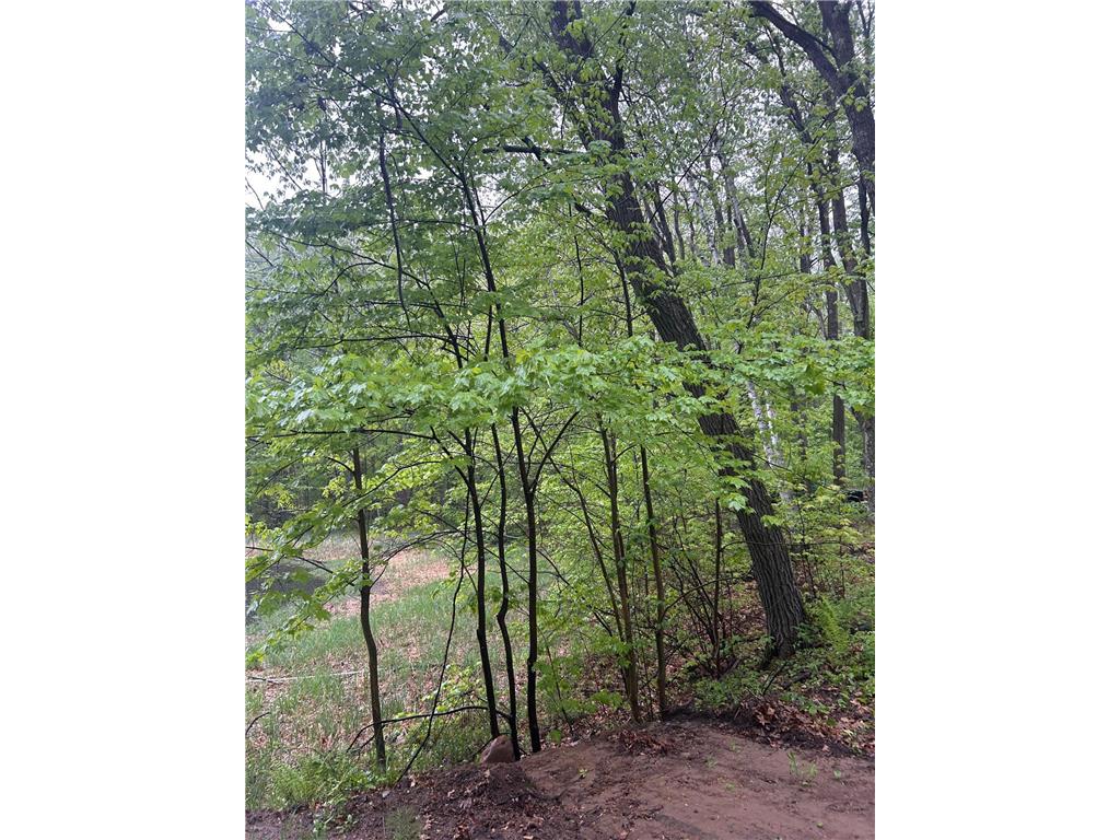 TBD Powder Horn Cushing Twp MN 56443 6726282 image1