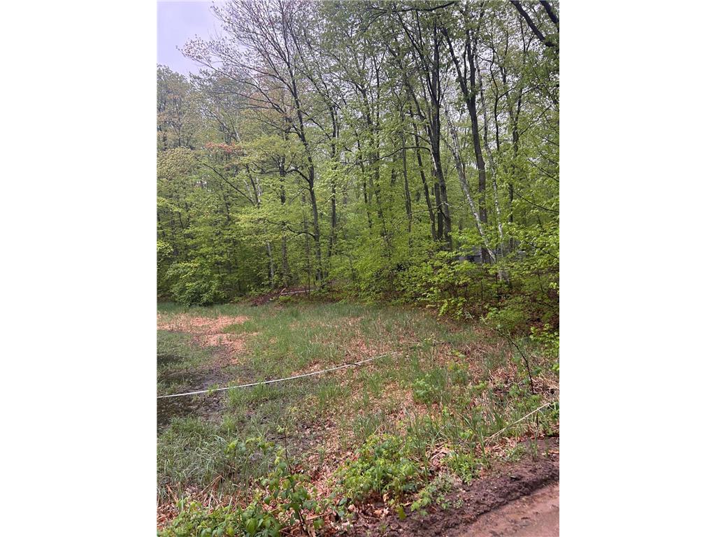 TBD Powder Horn Cushing Twp MN 56443 6726282 image2