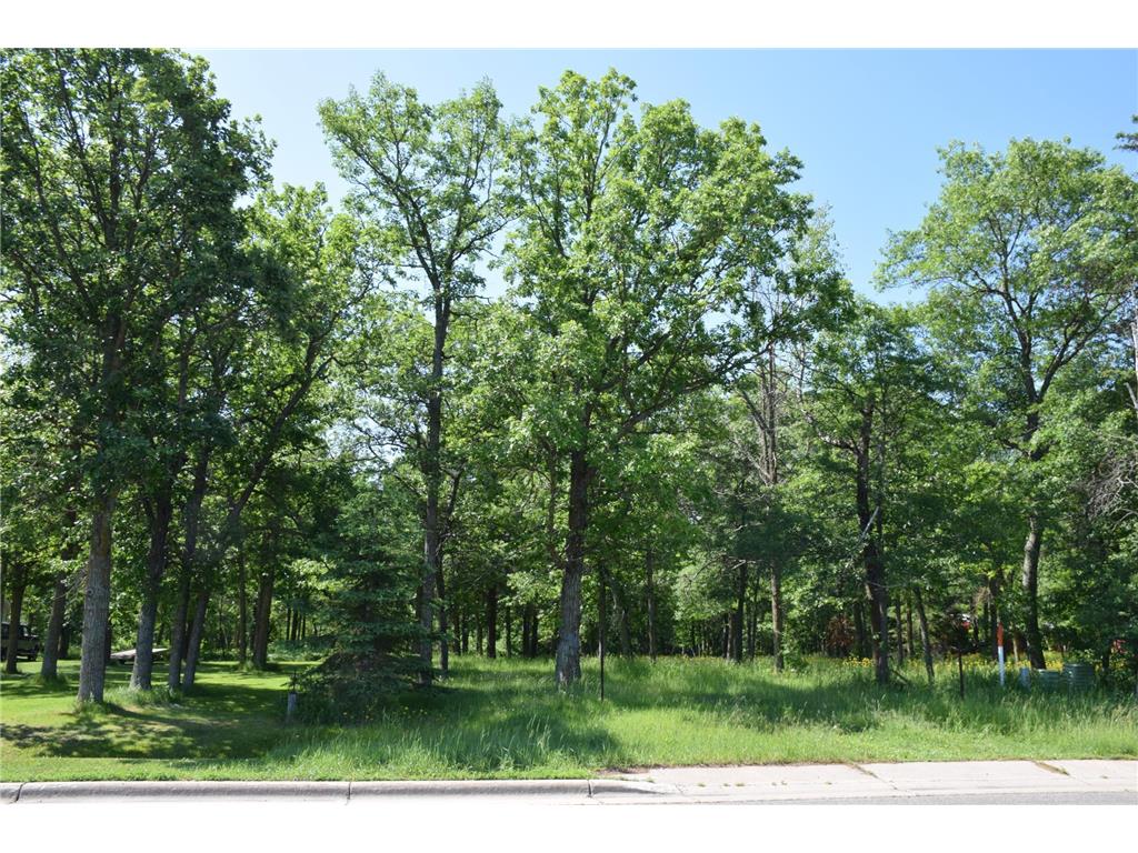 TBD Power Dam Road NE Bemidji MN 56601 6469706 image1