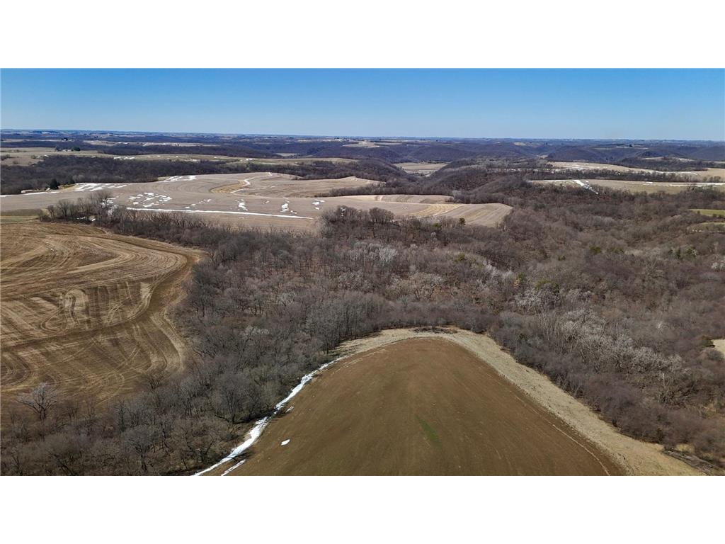 TBD Prairie Ridge Road Caledonia Twp MN 55921 6520346 image1