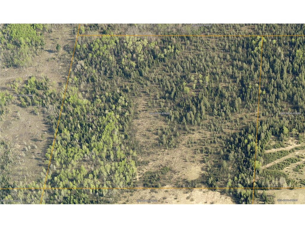 TBD Pulkinen Road Waasa Twp MN 55732 6545412 image1