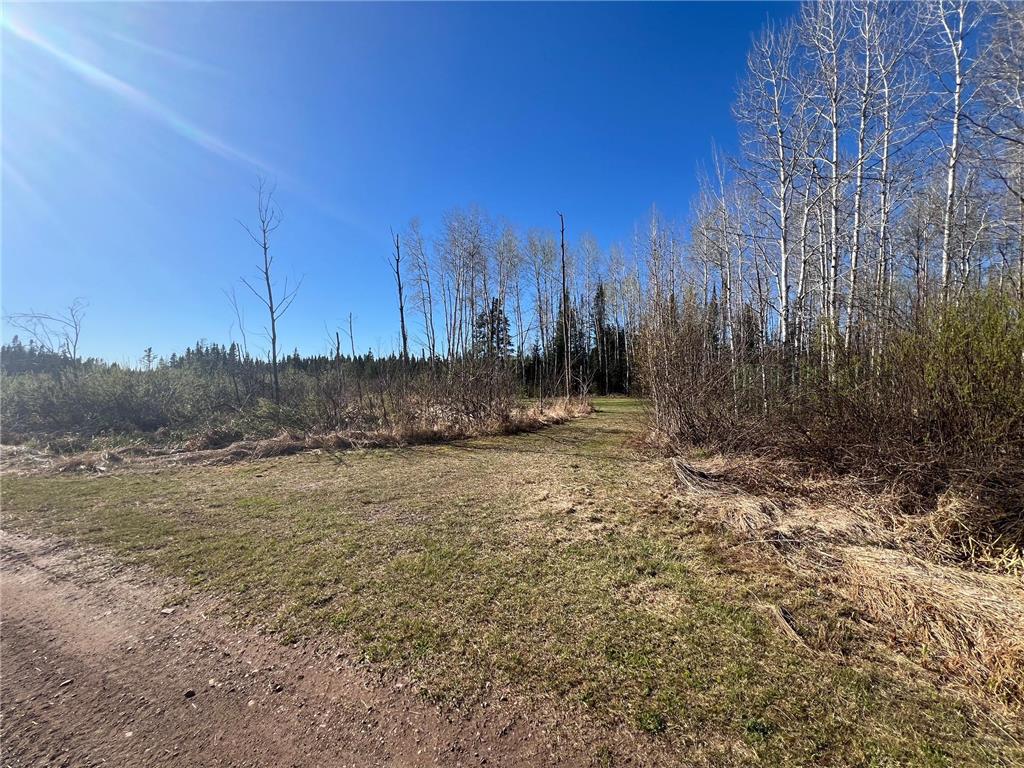 TBD Purple Rain Road Clear Creek Unorg. Terr. MN 55707 7075548 image6