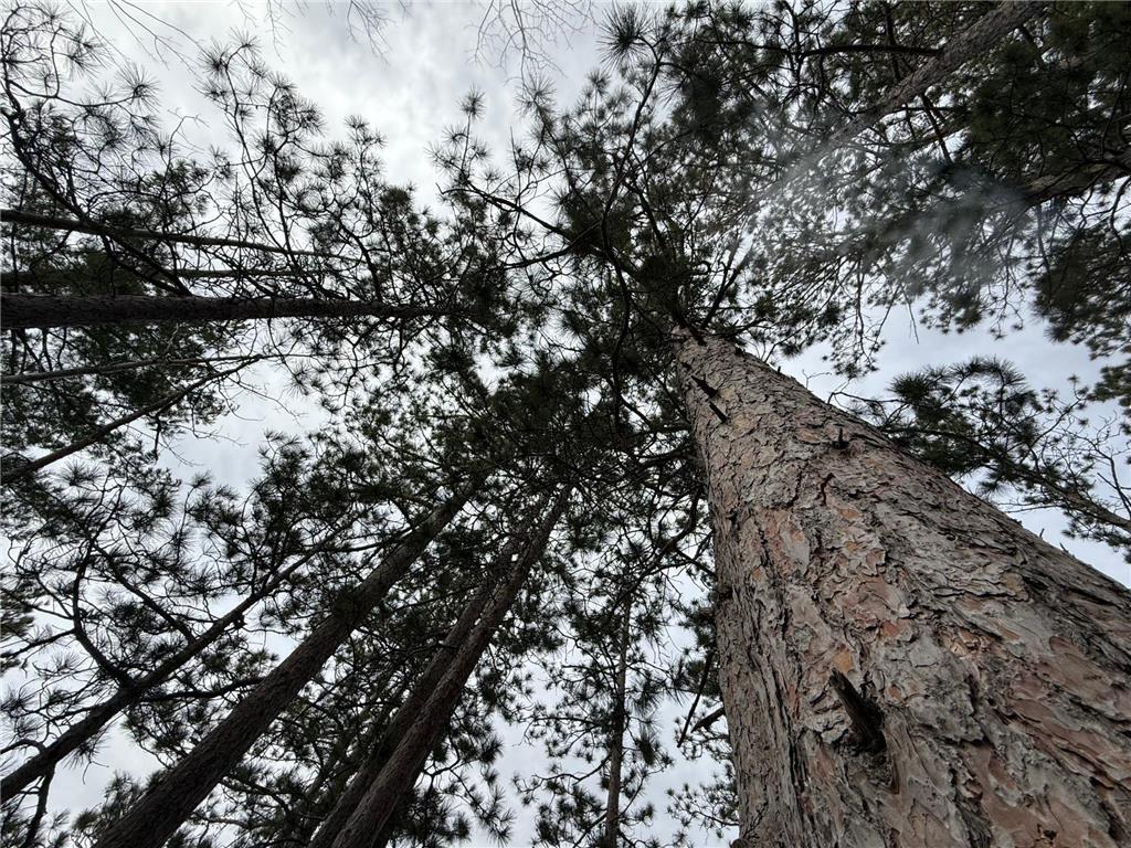 TBD Quetzal Drive Solway MN 56678 - Big LaSalle 6622603 image4