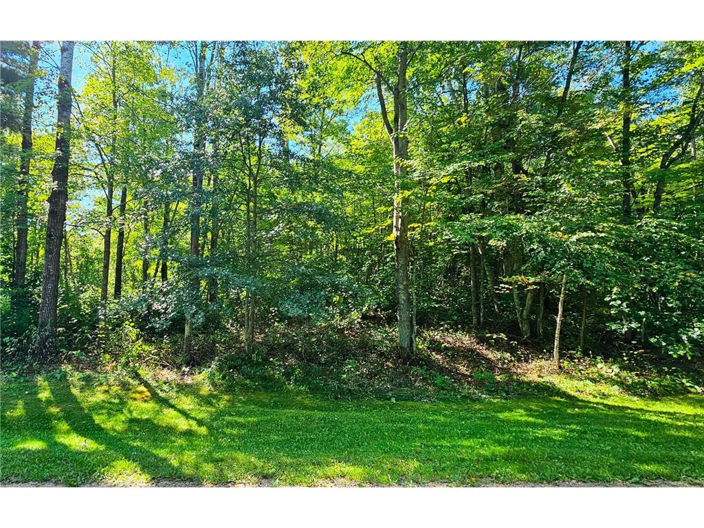 TBD Raccoon Lane Breezy Point MN 56472 6760119 image14