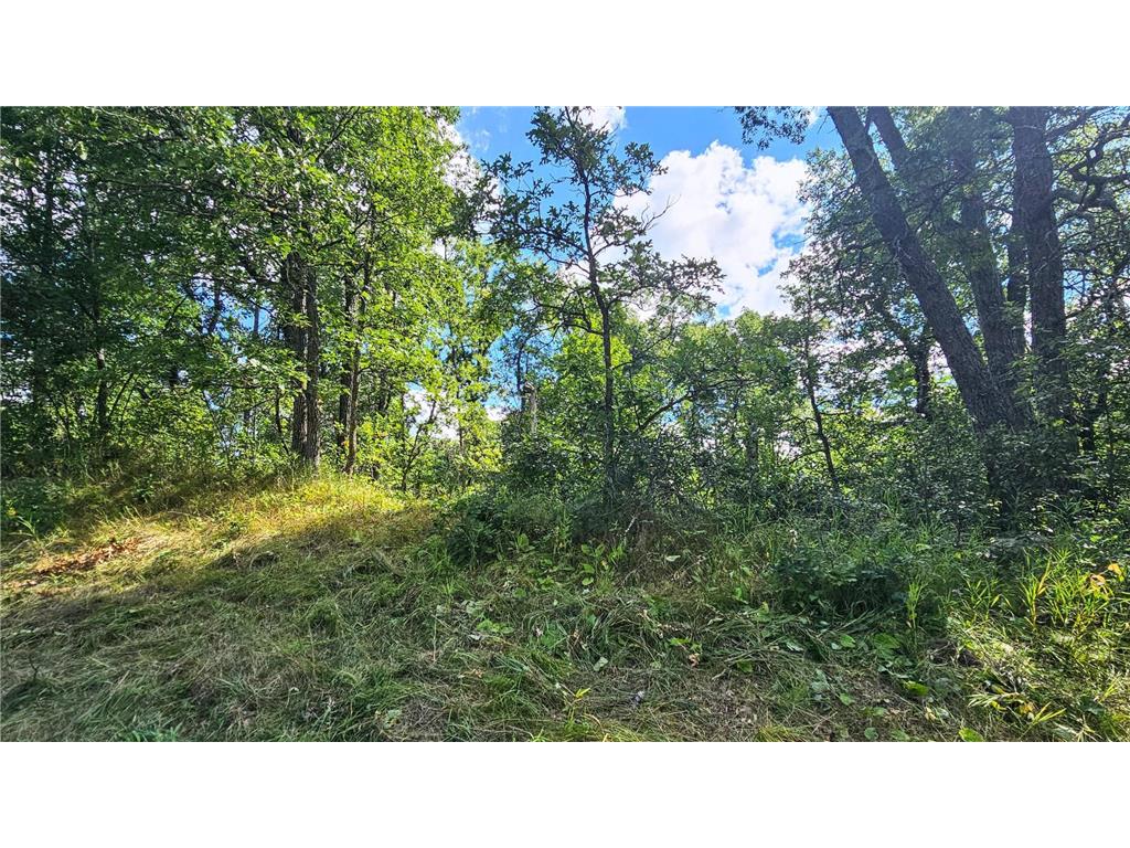 TBD Ranchette Dr Breezy Point MN 56472 6760214 image14
