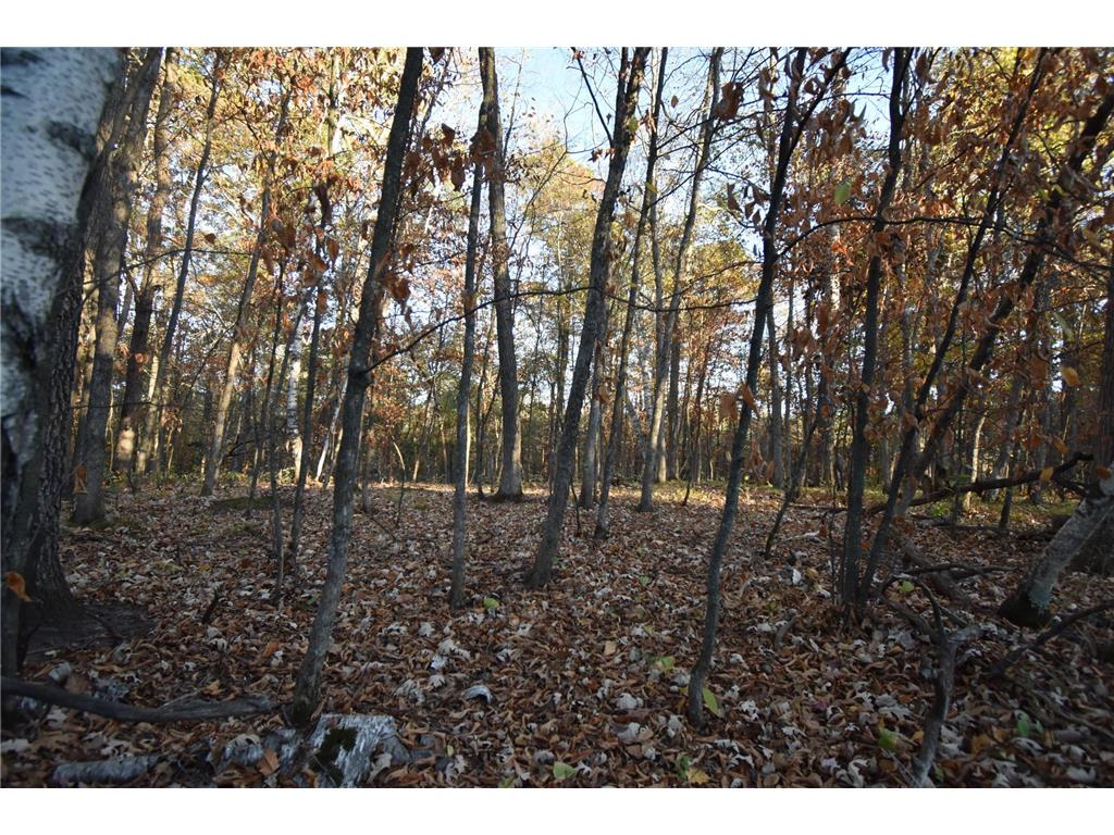 TBD Ranchette Drive Breezy Point MN 56472 6799456 image1