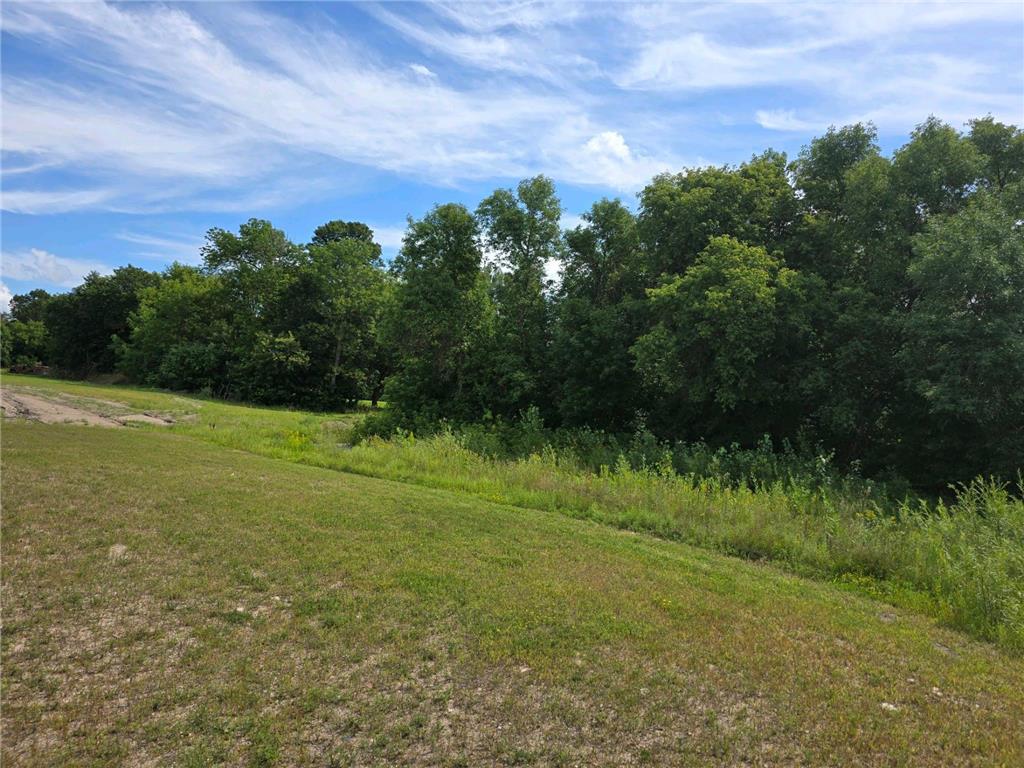 TBD Randolph RD Detroit Lakes MN 56501 6585363 image3