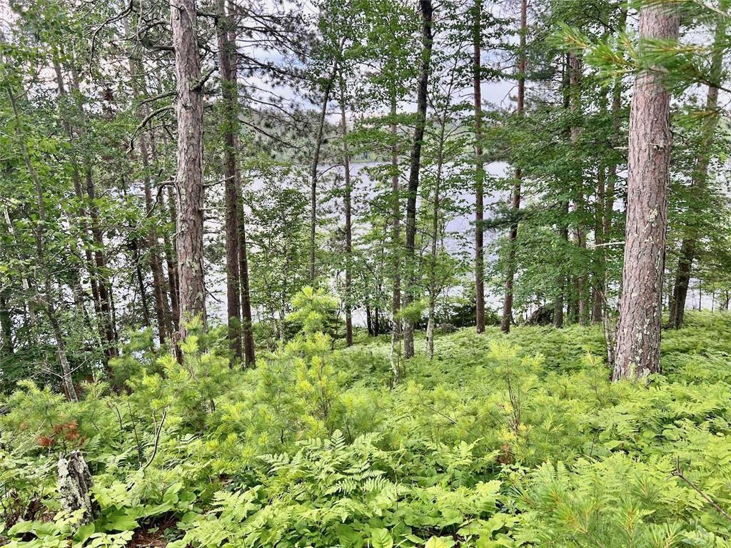 TBD Raps Road Beatty Twp MN 55723 - Vermilion 6567544 image1