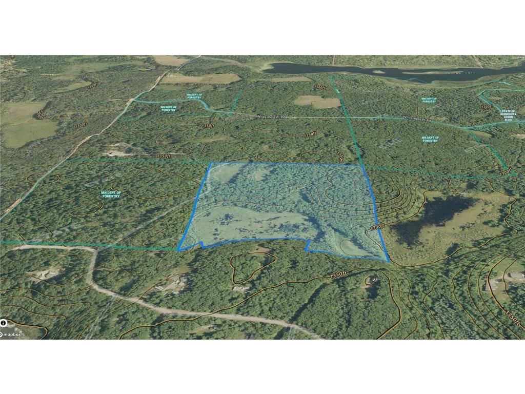 TBD Red Oak Drive Garrison Twp MN 56450 6796344 image13