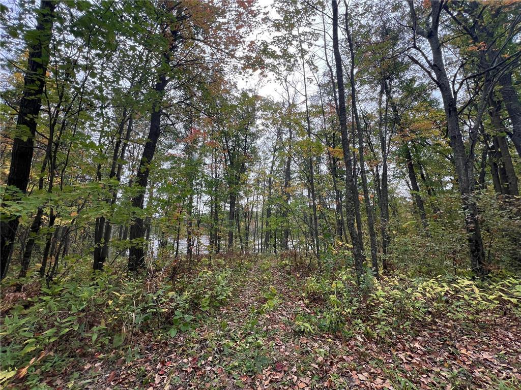 TBD Red Oak Drive Garrison Twp MN 56450 6796344 image15