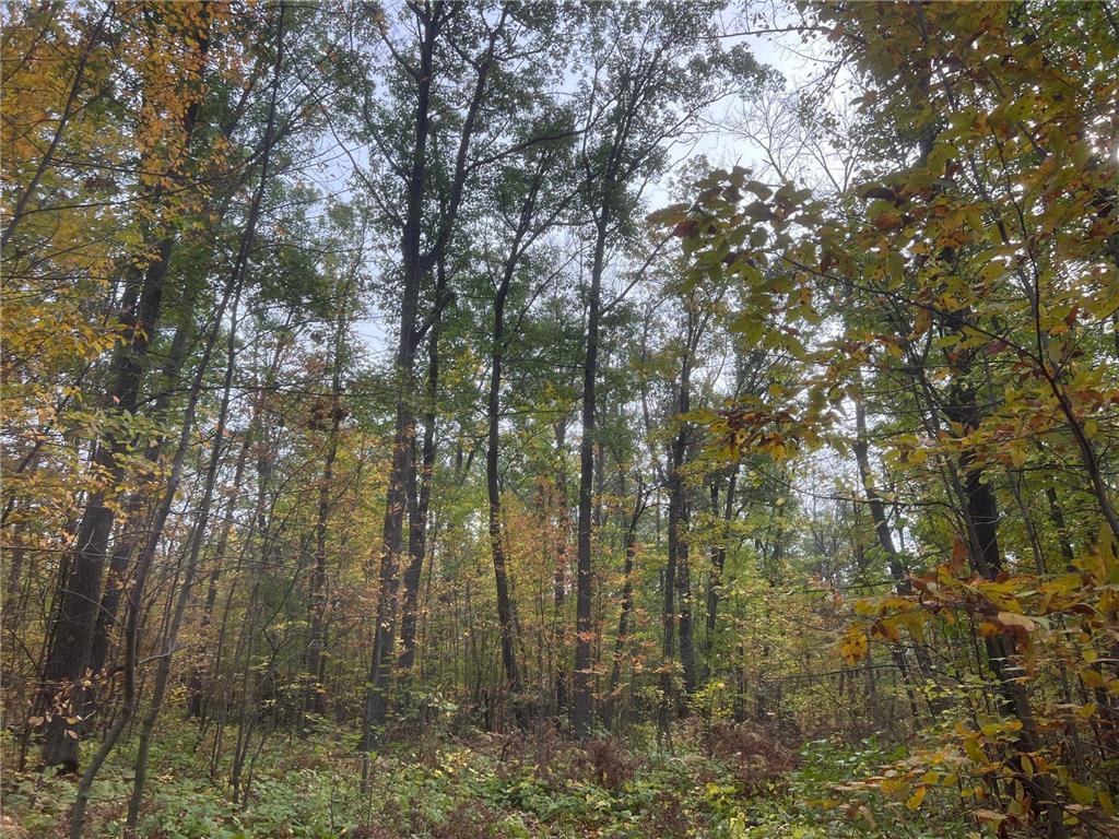 TBD Red Oak Drive Garrison Twp MN 56450 6796344 image16