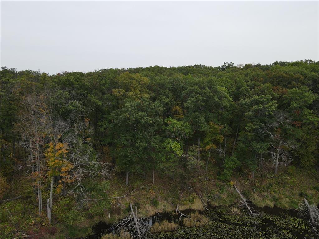 TBD Red Oak Drive Garrison Twp MN 56450 6796344 image25