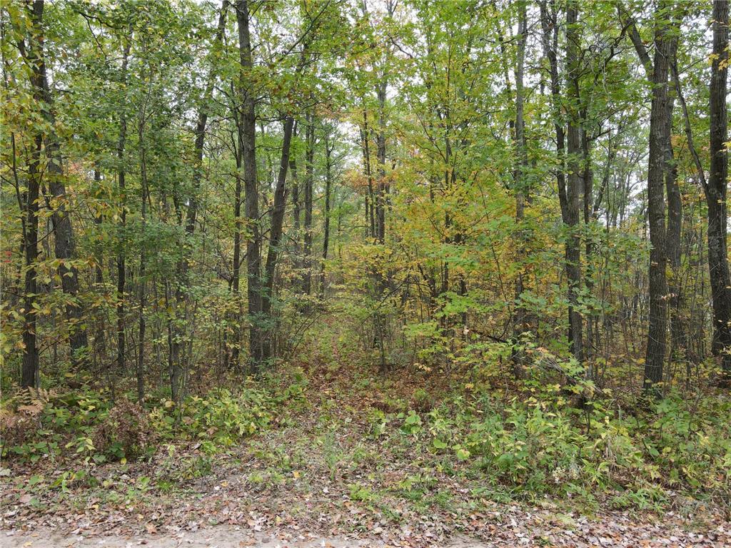 TBD Red Oak Drive Garrison Twp MN 56450 6796344 image27