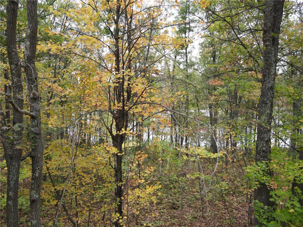 TBD Red Oak Drive Garrison Twp MN 56450 6796344 image28