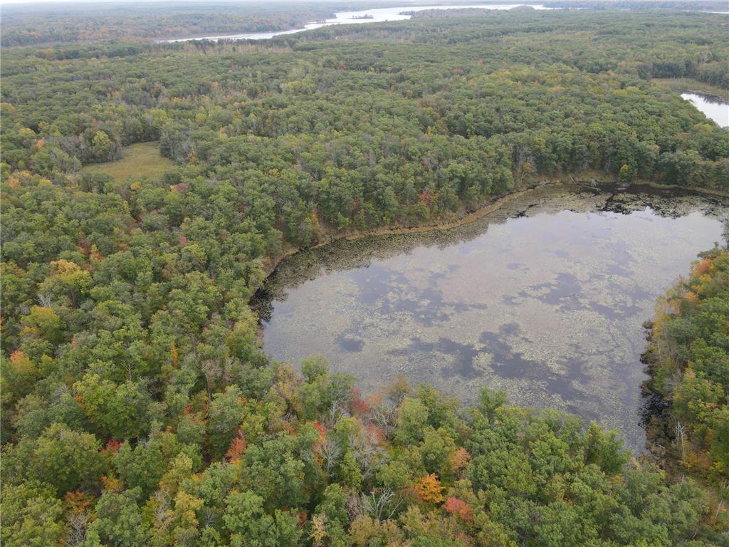 TBD Red Oak Drive Garrison Twp MN 56450 6796344 image4