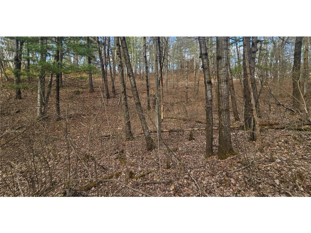 TBD Red Oak Lane Scandia Valley Twp MN 56466 7066979 image10