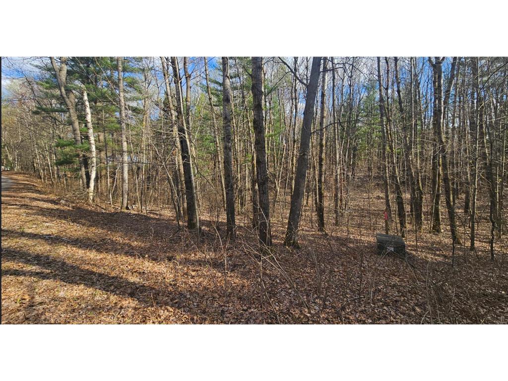TBD Red Oak Lane Scandia Valley Twp MN 56466 7066979 image11