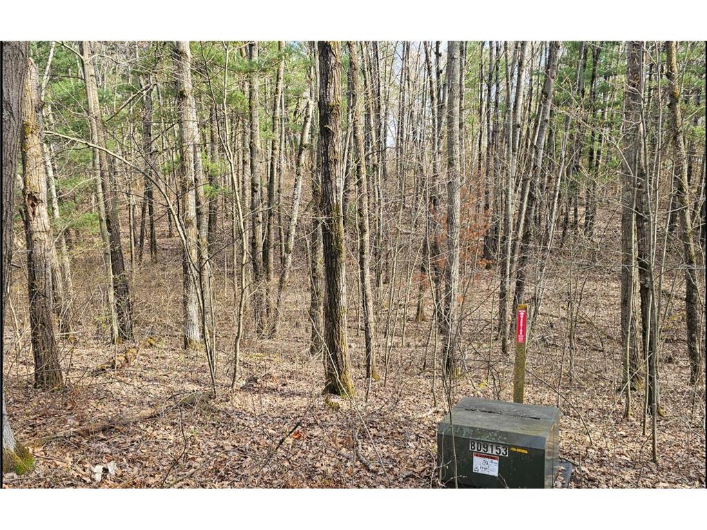 TBD Red Oak Lane Scandia Valley Twp MN 56466 7066979 image4