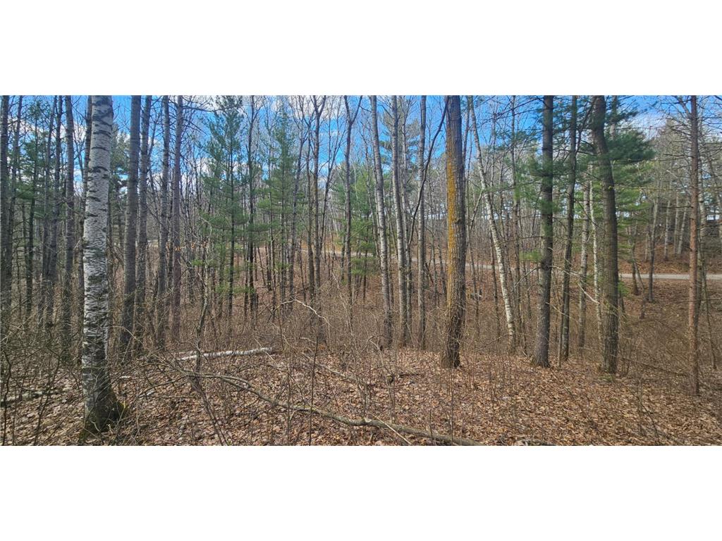 TBD Red Oak Lane Scandia Valley Twp MN 56466 7066979 image7